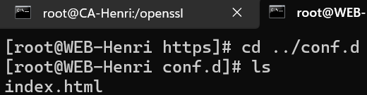 Résultat ls nginx