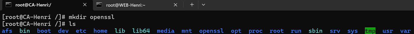 Résultat mkdir openssl
