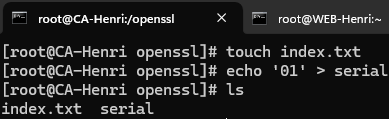 Résultat commandes touch index.txt et echo ‘01’ > serial